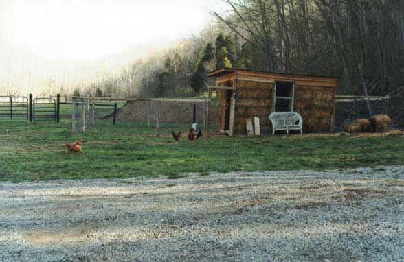 The Big Bad Wolf Can't Get These Chickens