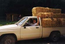 We Need More Straw Captain!!