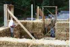 Can I Use The Toilet Yet?